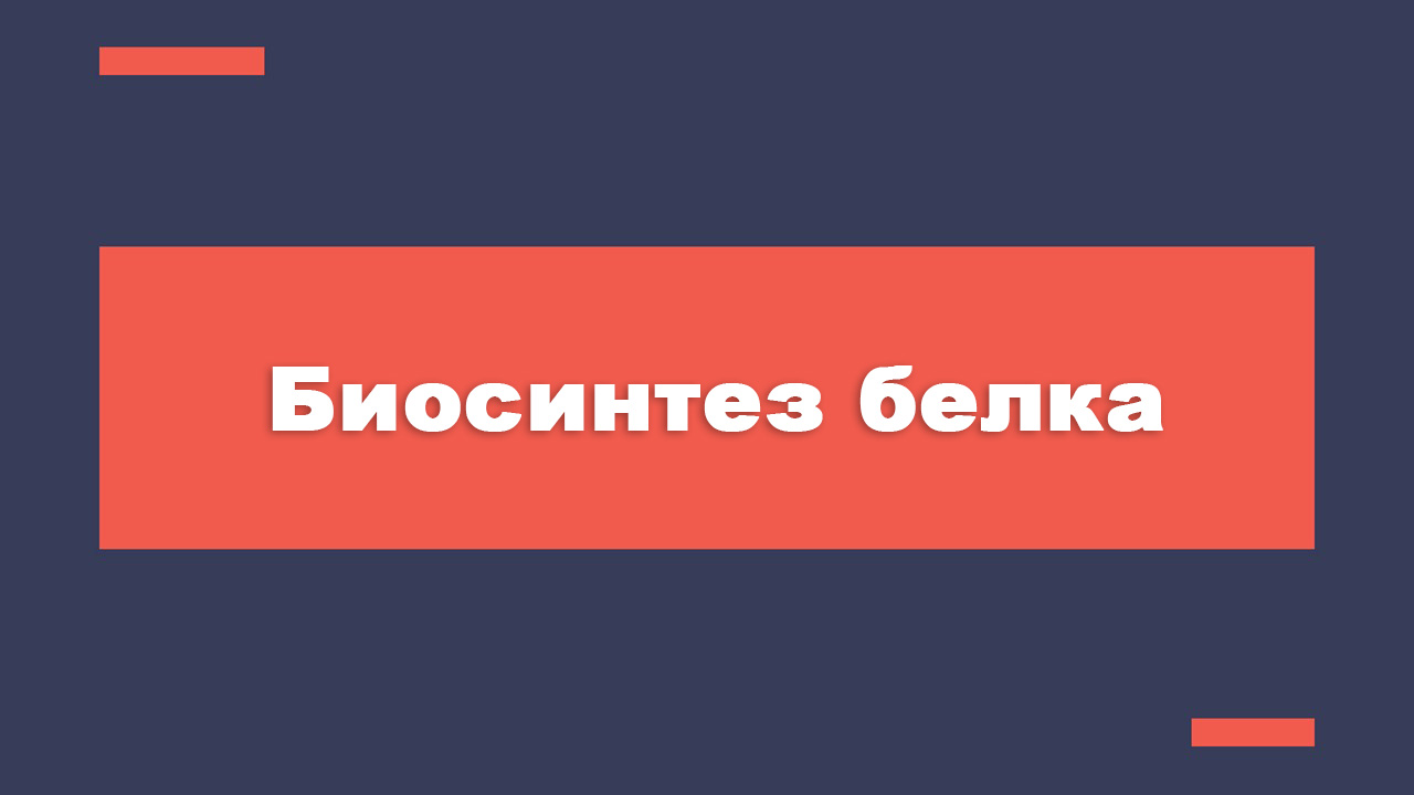 BioSintezBelka2