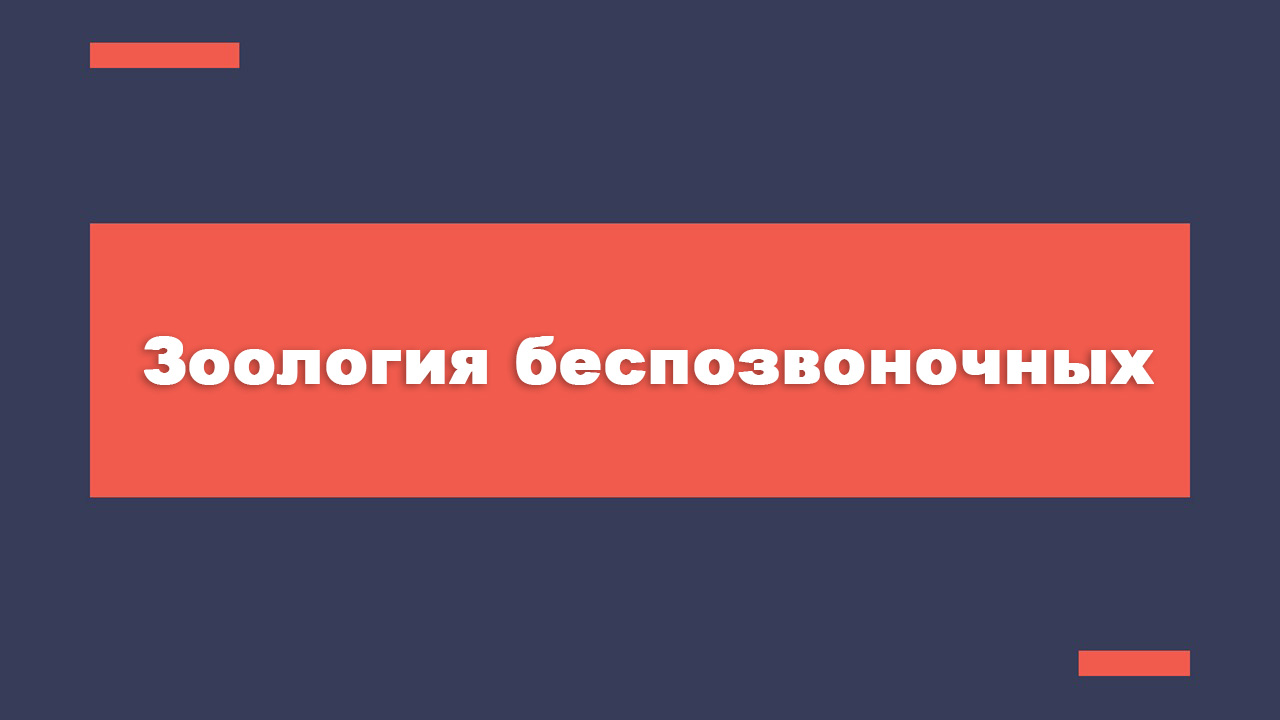 Anatom and Morfologia PLANTS